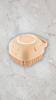 Foam Paw-ty Brush